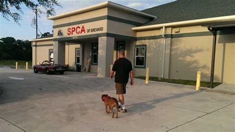 Spca titusville - The SPCA of Brevard Adoption Center in Titusville is having a $20 special for adults cats and dogs for the next few days to help clear up space for the expected influx of animals in need of ...